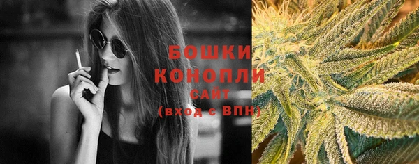 PSILOCYBIN Балахна