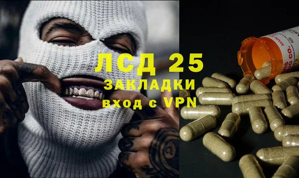индика Балабаново
