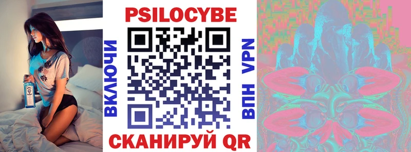 omg сайт  Нефтегорск  Галлюциногенные грибы Cubensis 